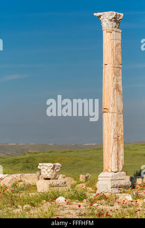 Ruinen der Antike Laodicea auf dem Lycus, Provinz Denizli, Türkei Stockfoto