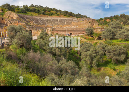 Theater, Ruinen der antiken Nysa am Maeander, Provinz Aydin, Türkei Stockfoto