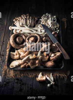 Gemischte Pilze im Tray auf Holztisch Stockfoto