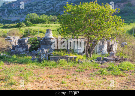 Ephesus, Selcuk, Provinz Izmir, Türkei Stockfoto