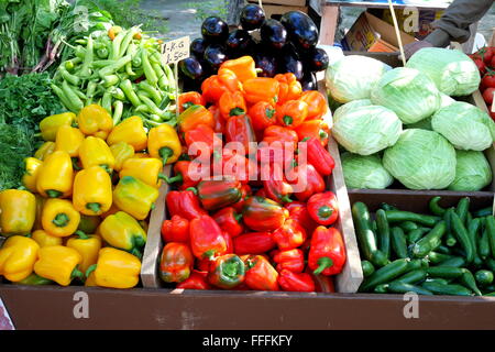 A stall verkauft Gemüse und Kräuter auf dem Bauernmarkt in Budaiya, Königreich von Bahrain Stockfoto