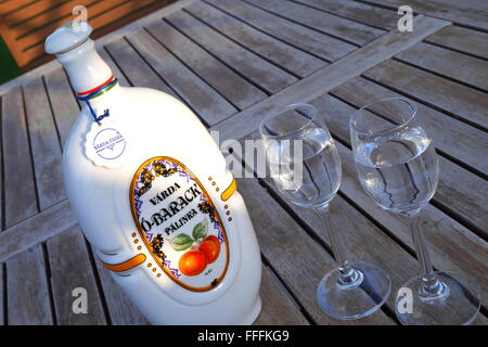 Ungarischer Aprikosen Palinka (Schnaps) in einem traditionellen Flasche mit zwei traditionellen Gläser. Stockfoto