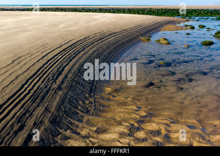 Wellen im Sand - Muster Made in Northam Strand am ausgehende Flut, mit Pool und Algen bedeckt Felsbrocken; Devon. Stockfoto