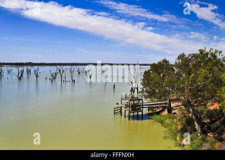 Grünen ruhiges Wasser des Murray River in South AUstralia mit hölzernen Fracht Badesteg und toten Baum am Fluss. Stockfoto