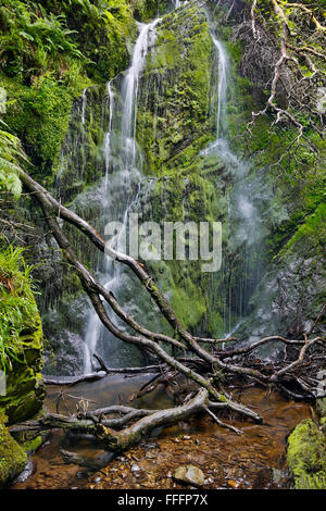 Dhoon Glen; Wasserfall; Isle Of Man; UK Stockfoto