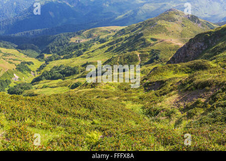 Tal der sieben Seen, Kaukasus, Abchasien (Georgien) Stockfoto