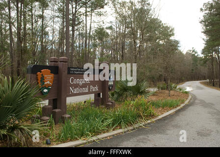 Congaree Nationalpark Hopkins South Carolina USA Stockfoto