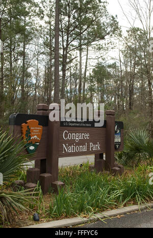 Congaree Nationalpark Hopkins South Carolina USA Stockfoto