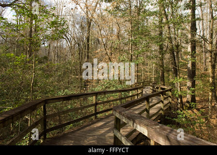 Congaree Nationalpark Hopkins, SC, USA. Stockfoto