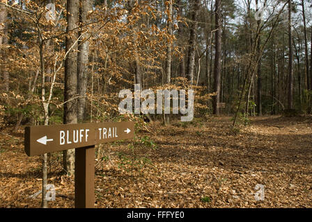 Bluff Trail Congaree Nationalpark Hopkins Südcarolina USA Stockfoto