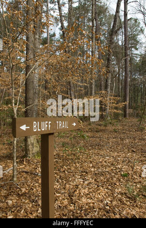 Bluff Trail Congaree Nationalpark Hopkins Südcarolina USA Stockfoto