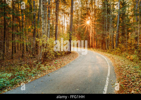 Gewundenen Asphalt Straße Weg Spazierweg durch den herbstlichen Wald. Sonnenuntergang Sonnenaufgang. Niemand. Straße wird zur aufgehenden Sonne. Stockfoto