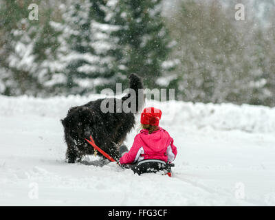 Hundeschlitten tragen jungen Neufundländer mit Kind im Schnee, winter Stockfoto