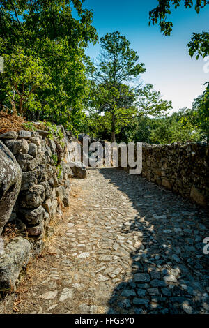 Gepflasterten Seitenstraße in der mittelalterlichen Stadt La Alberca, Castille y Leon. Spanien Stockfoto