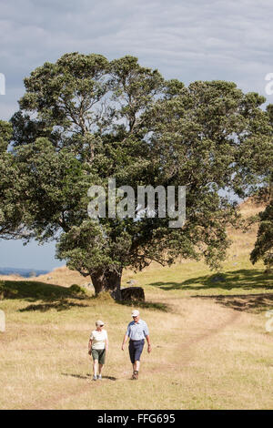 Wanderer, Wandern am Mount Eden, Auckland, Neuseeland Stockfoto