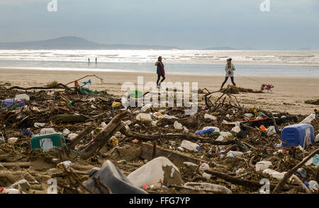 Süd-Wales, UK. 13. Februar 2016. Das Ergebnis der jüngsten orkanartigen Winden und hohen Gezeiten hinterlassen eine Spur der Verschmutzung, einschließlich Kunststoff, Pembrey Sands (Cefn Sidan), Pembrey Country Park, in der Nähe von Llanelli, Carmarthenshire, Wales, UK angespült. Inmitten der Trümmer sind Soft-Shell Muscheln oder Sand Gapers (Mya Arenaria) von Carmarthen Bay, auch durch die Flut gestrandet. © Algis Motuza/Alamy Live News Bildnachweis: Algis Motuza/Alamy Live-Nachrichten Stockfoto