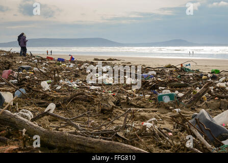 Süd-Wales, UK. 13. Februar 2016. Das Ergebnis der jüngsten orkanartigen Winden und hohen Gezeiten hinterlassen eine Spur der Verschmutzung, einschließlich Kunststoff, Pembrey Sands (Cefn Sidan), Pembrey Country Park, in der Nähe von Llanelli, Carmarthenshire, Wales, UK angespült. Inmitten der Trümmer sind Soft-Shell Muscheln oder Sand Gapers (Mya Arenaria) von Carmarthen Bay, auch durch die Flut gestrandet. © Algis Motuza/Alamy Live News Bildnachweis: Algis Motuza/Alamy Live-Nachrichten Stockfoto