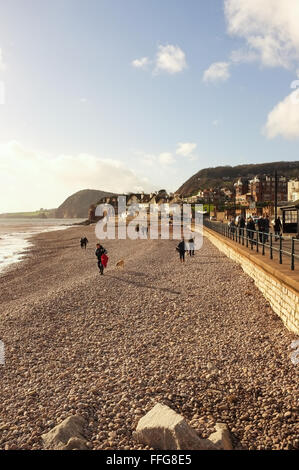 Sidmouth, Devon. Strand und Promenade an einem Wintertag. Stockfoto