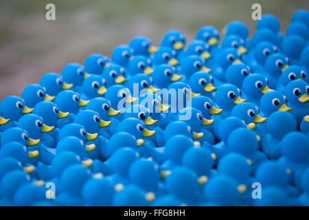 Sammlung von blauen Gummienten bestellt. Kreis, Menschenmenge, mit Blick auf die gleiche Weise. Stockfoto