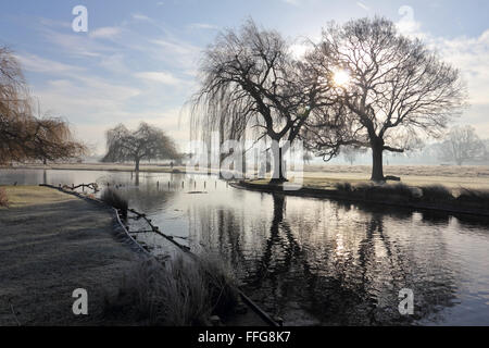 Kalten, nebligen Morgen im Bushy Park, London, UK. Stockfoto