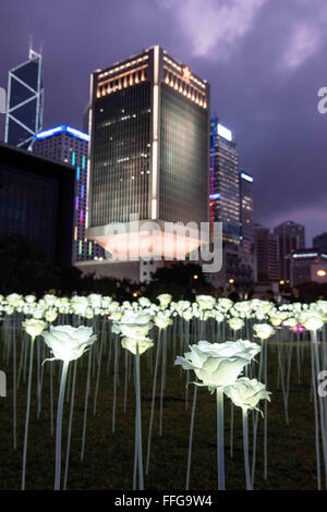 Hong Kong, China. 13. Februar 2016. Blick über den Victoria Harbour nach Tsim Sha Tsui. Mit Ursprung aus Seoul, Korea, diese öffentliche Kunst-Installations-Projekt "Light Rose Garden" bestehend aus 25.000 weiße Rosen gemacht von LED-Leuchten am Tamar Park Admiralität. Bildnachweis: Jayne Russell/ZUMA Draht/Alamy Live-Nachrichten Stockfoto