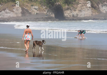 Hund an Bord Walker und Kerl auf eine fettarme Magermilch boarding am Muriwai Beach, in der Nähe von Waitakere Ranges, in der Nähe von Auckland, Nordinsel Neuseeland. Stockfoto