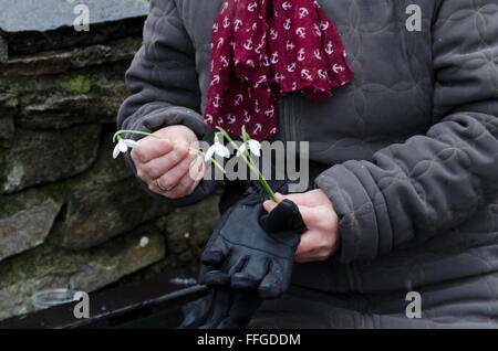 Schneeglöckchen Blume in Frau hand im Winter, Sofia, Bulgarien Stockfoto