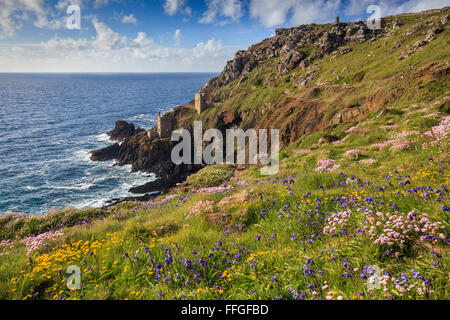 Frühlingsblumen bieten das Vordergrund Interesse in diesem Bild von Botallack Minen, in der Nähe von St Just im äußersten Westen von Cornwall. Stockfoto