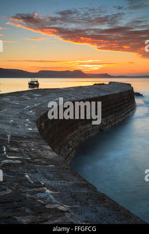 Die Cobb bei Lyme Regis auf der südlichen Küste von Dorset, bei Sonnenaufgang im September gefangen. Stockfoto