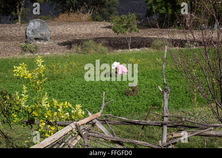 Santiago Apoala, Oaxaca, Mexiko - arbeitet ein Mann in einem Feld in das Dorf Apoala, ein kleines Bergdorf. Stockfoto