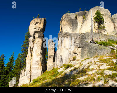 Des Teufels Stuhl, einer erodierten Felsformation auf dem Lolo Trail im Clearwater National Forest, Idaho, Vereinigte Staaten. Stockfoto