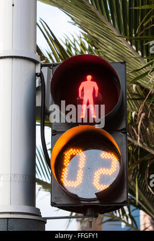 Countdown Timer auf Fußgängerüberweg, Verkehr, Licht, Lichter, in Auckland, Neuseeland Stockfoto