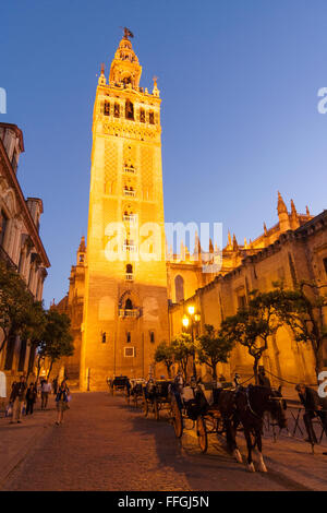 Die Giralda Turm bei Nacht. Sevilla, Andalusien, Spanien Stockfoto