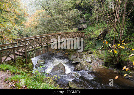 Brücke über den East Lyn River in der Nähe von Lynmouth in Devon Stockfoto