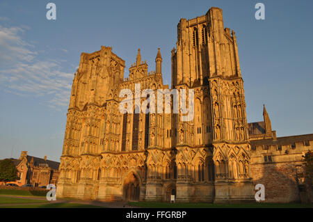 Die Kathedrale Kirche des Hl. Andreas, allgemein bekannt als Wells Cathedral, eine anglikanische Kathedrale in Wells, Somerset, England Stockfoto