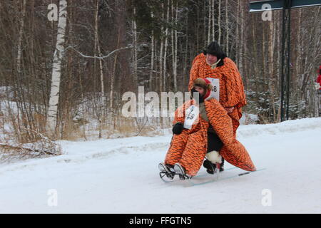 Stücken, Norwegen. 14. Februar 2016. Teilnehmer und Publikum bei der Tretschlitten World Championship in Stücken mit norwegischen Trachten. Silje Ekern/Alamy Live-Nachrichten Stockfoto