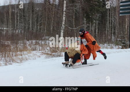 Stücken, Norwegen. 14. Februar 2016. Teilnehmer und Publikum bei der Tretschlitten World Championship in Stücken mit norwegischen Trachten. Silje Ekern/Alamy Live-Nachrichten Stockfoto