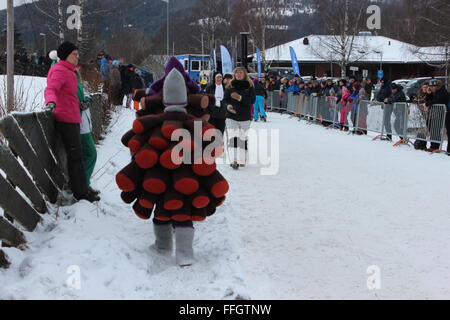 Stücken, Norwegen. 14. Februar 2016. Teilnehmer und Publikum bei der Tretschlitten World Championship in Stücken mit norwegischen Trachten. Silje Ekern/Alamy Live-Nachrichten Stockfoto