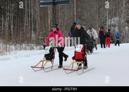 Stücken, Norwegen. 14. Februar 2016. Teilnehmer und Publikum bei der Tretschlitten World Championship in Stücken mit norwegischen Trachten. Silje Ekern/Alamy Live-Nachrichten Stockfoto