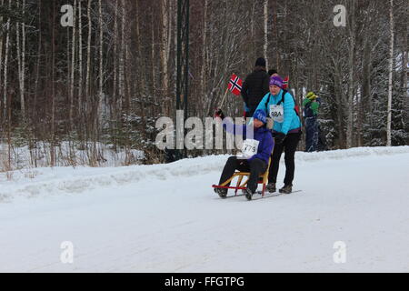 Stücken, Norwegen. 14. Februar 2016. Teilnehmer und Publikum bei der Tretschlitten World Championship in Stücken mit norwegischen Trachten. Silje Ekern/Alamy Live-Nachrichten Stockfoto