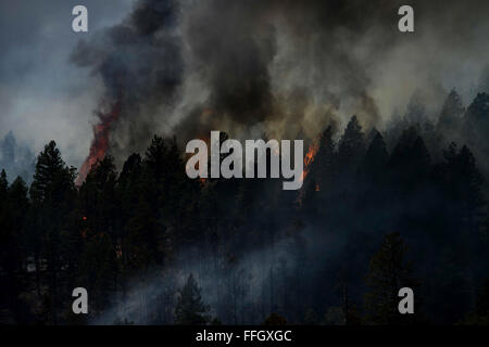 Feuer brennt noch im Bereich des Mount Saint Francois von Colorado Springs, Co, während Feuerwehrleute weiterhin mehrere Brände in Waldo Canyon am 28. Juni 2012 kämpfen. Das Waldo Canyon-Feuer auf 18.500 Hektar gewachsen und über 300 Häuser verbrannt. Derzeit mehr als 90 Feuerwehrleute aus der Akademie, zusammen mit Vermögenswerten von Air Force Space Command; Z.B. Warren Air Force Base, Wyoming; Fort Carson, Colorado; und die lokale Gemeinschaft weiterhin Waldo Canyon-Feuer zu bekämpfen. Stockfoto