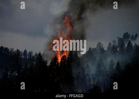 Feuer brennt noch im Bereich des Mount Saint Francois von Colorado Springs, Co, während Feuerwehrleute weiterhin mehrere Brände in Waldo Canyon am 28. Juni 2012 kämpfen. Das Waldo Canyon-Feuer auf 18.500 Hektar gewachsen und über 300 Häuser verbrannt. Derzeit mehr als 90 Feuerwehrleute aus der Akademie, zusammen mit Vermögenswerten von Air Force Space Command; Z.B. Warren Air Force Base, Wyoming; Fort Carson, Colorado; und die lokale Gemeinschaft weiterhin Waldo Canyon Brandbekämpfung Stockfoto