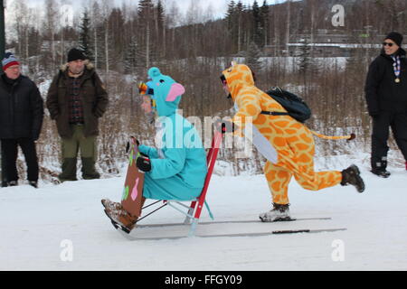 Stücken, Norwegen. 14. Februar 2016. Teilnehmer und Publikum bei der Tretschlitten World Championship in Stücken mit norwegischen Trachten. Silje Ekern/Alamy Live-Nachrichten Stockfoto