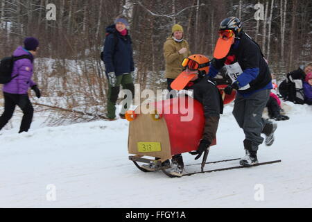 Stücken, Norwegen. 14. Februar 2016. Teilnehmer und Publikum bei der Tretschlitten World Championship in Stücken mit norwegischen Trachten. Silje Ekern/Alamy Live-Nachrichten Stockfoto