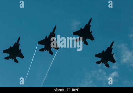 F-15E Strike Eagles aus Seymour Johnson Air Force Base, North Carolina, führen eine Überführung für Generalmajor Frederick "Stiefel" Blesse Beerdigung auf dem Arlington National Cemetery. Blesse, ein Doppel-Ass mit zwei Kampfeinsätzen in Korea und Vietnam, war der sechste Rang US-Jet Ace und eines der weltweit führenden Jet Taktiker. Stockfoto