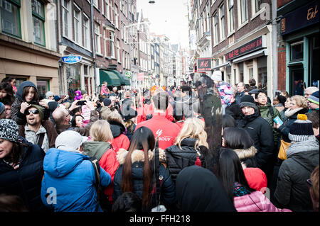 Amsterdam, Niederlande. 13. Februar 2016. Lion Tänzer zu besuchen, die Häuser und Geschäfte von der chinesischen Gemeinschaft den traditionellen Brauch der auszuführenden "cai Qing", eine Quest von dem "Löwen", das verheißungsvolle grün "Gemüse" wie Salat und verheißungsvolle Früchte wie Orangen pflücken gebunden an einen "roten Umschlag" mit Geld. Der Löwentanz wird geglaubt, um Glück und Wohlstand für das Unternehmen zu bringen. Die Truppe ist mit dem roten Umschlag belohnt. Bildnachweis: Romy Arroyo Fernandez/Alamy Live-Nachrichten. Stockfoto