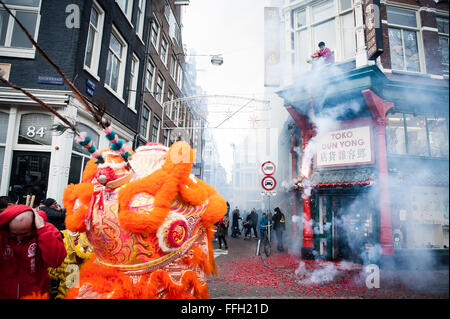 Amsterdam, Niederlande. 13. Februar 2016. Lion Tänzer zu besuchen, die Häuser und Geschäfte von der chinesischen Gemeinschaft den traditionellen Brauch der auszuführenden "cai Qing", eine Quest von dem "Löwen", das verheißungsvolle grün "Gemüse" wie Salat und verheißungsvolle Früchte wie Orangen pflücken gebunden an einen "roten Umschlag" mit Geld. Der Löwentanz wird geglaubt, um Glück und Wohlstand für das Unternehmen zu bringen. Die Truppe ist mit dem roten Umschlag belohnt. Bildnachweis: Romy Arroyo Fernandez/Alamy Live-Nachrichten. Stockfoto