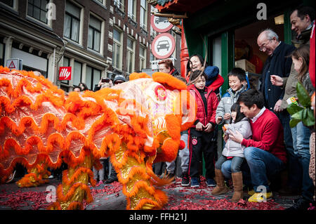 Amsterdam, Niederlande. 13. Februar 2016. Lion Tänzer zu besuchen, die Häuser und Geschäfte von der chinesischen Gemeinschaft den traditionellen Brauch der auszuführenden "cai Qing", eine Quest von dem "Löwen", das verheißungsvolle grün "Gemüse" wie Salat und verheißungsvolle Früchte wie Orangen pflücken gebunden an einen "roten Umschlag" mit Geld. Der Löwentanz wird geglaubt, um Glück und Wohlstand für das Unternehmen zu bringen. Die Truppe ist mit dem roten Umschlag belohnt. Bildnachweis: Romy Arroyo Fernandez/Alamy Live-Nachrichten. Stockfoto