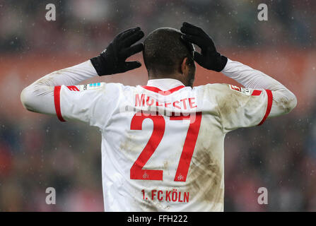 Köln, Deutschland. 13. Februar 2016. FC Köln Vs Eintracht Frankfurt: Anthony Modeste (Köln).  Bildnachweis: Jürgen Schwarz/Alamy Live-Nachrichten Stockfoto