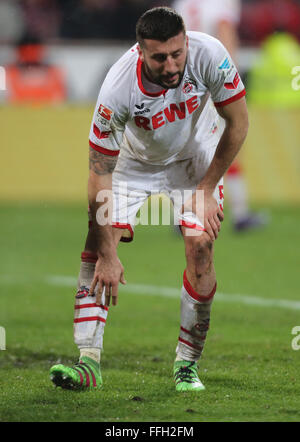 Köln, Deutschland. 13. Februar 2016. FC Köln Vs Eintracht Frankfurt: Dominic Maroh (Köln).  Bildnachweis: Jürgen Schwarz/Alamy Live-Nachrichten Stockfoto